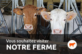 visite ferme Rottmatt