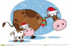 vaches-à-noël-17263757